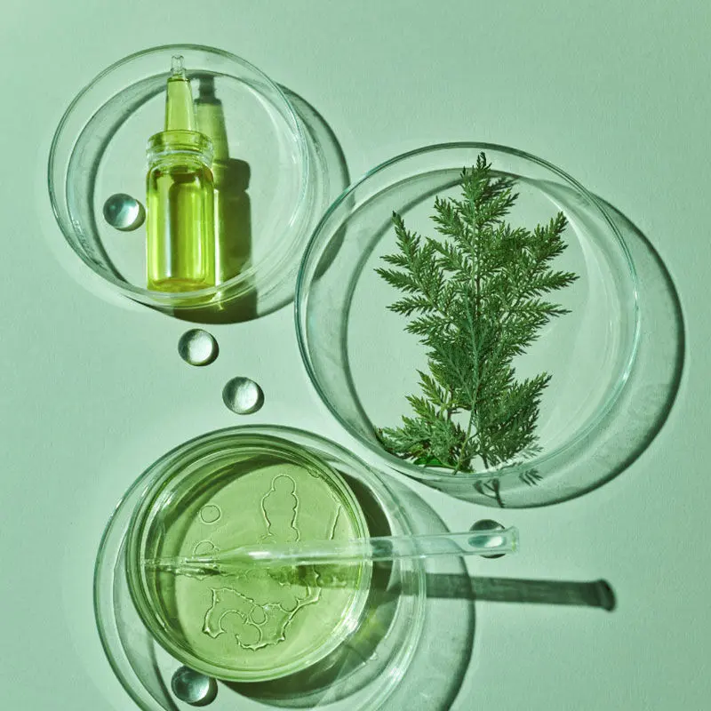 cosmetics industry towards sustainable formulations