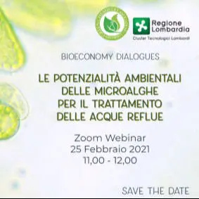 Bioeconomy Dialogues: Environmental potential of microalgae for wastewater treatment