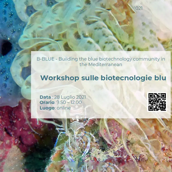 Workshop biotecnologie blu