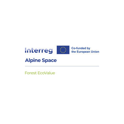 Forest ecovalue