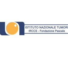 ISTITUTO NAZIONALE TUMORI IRCCS-FONDAZIONE PASCALE