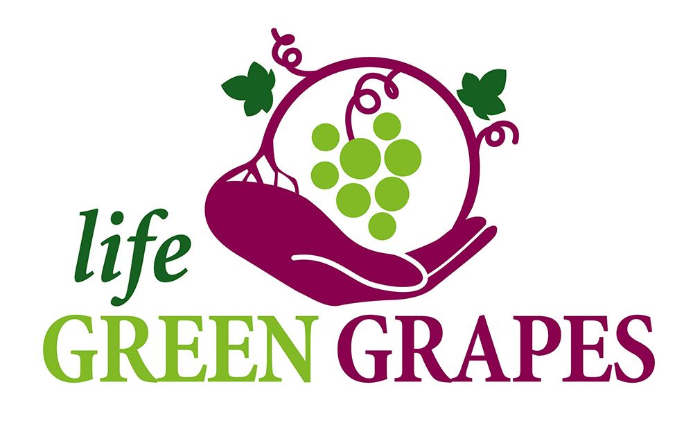  LIFE GREEN GRAPES 