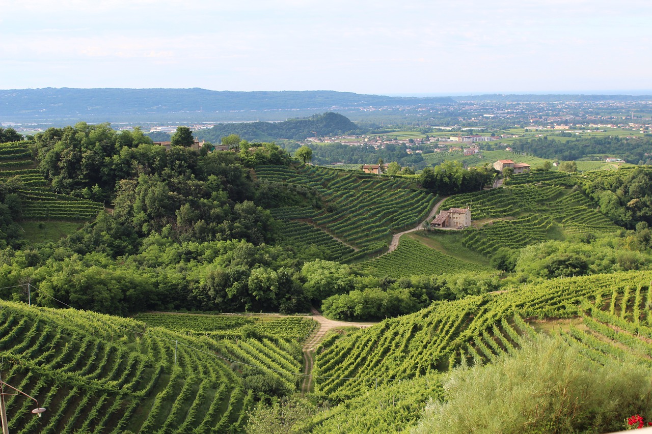  Festival della Franciacorta - cover 