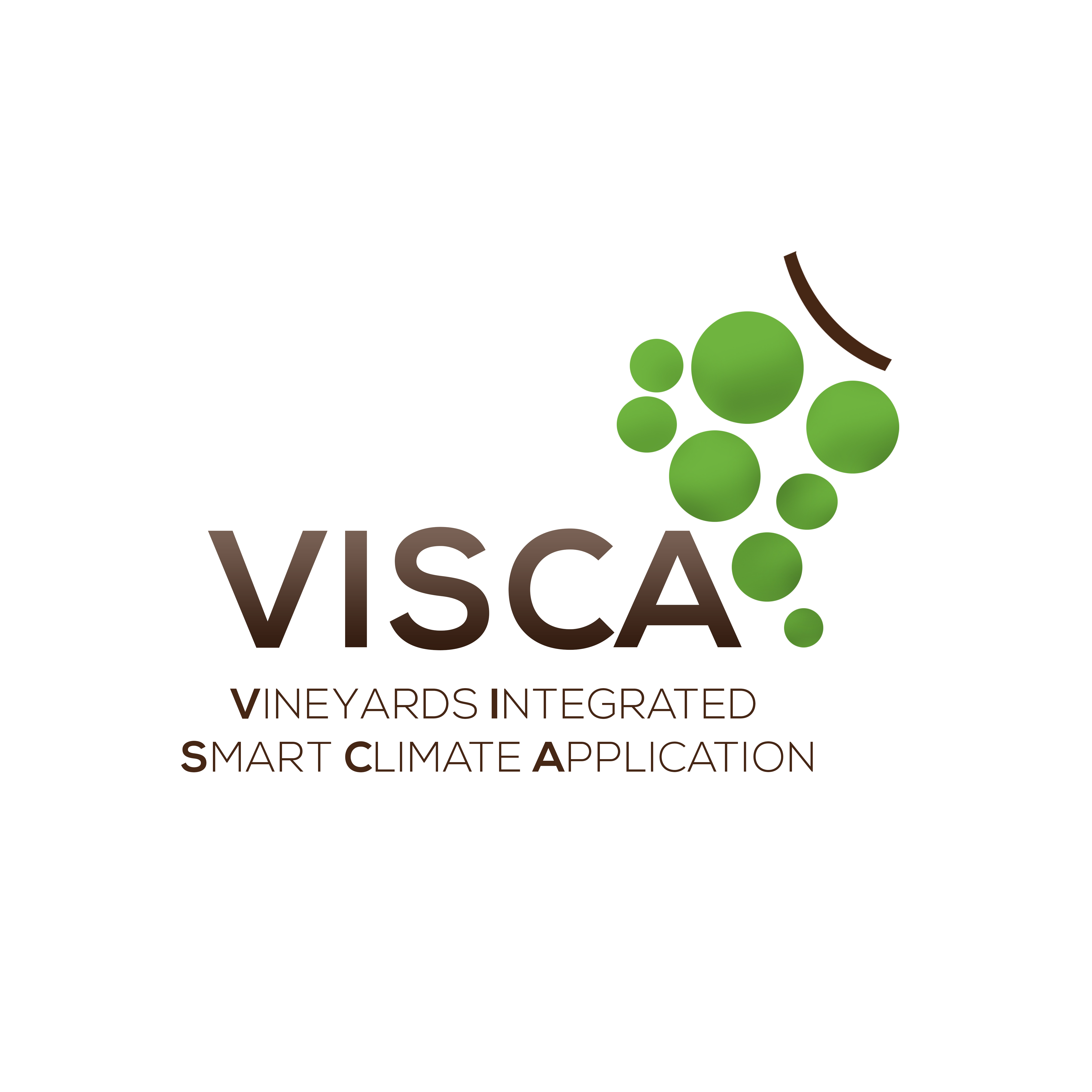  VISCA 